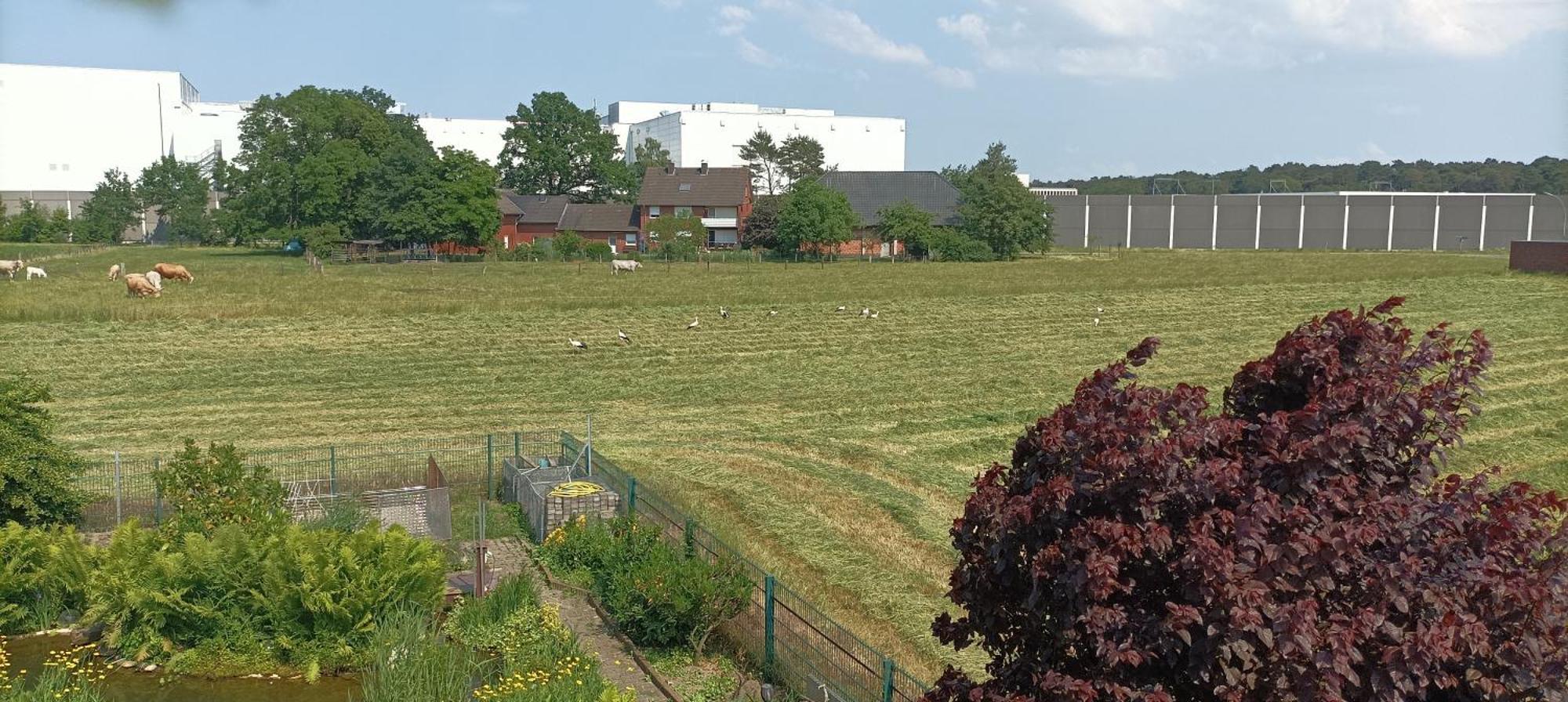 Ferienwohnung Willy Und Gudrun Rheda-Wiedenbrück Exterior foto